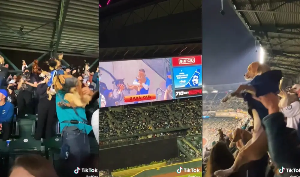 Miles de personas alzaban a sus perritos en alusión al dibujo animado "Simba". Foto: captura de TikTok