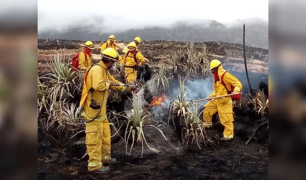 Fuego se expandió entre los cerros de los distritos de San Jerónimo, Saylla y Oropesa, generando zozobra. Foto: difusión