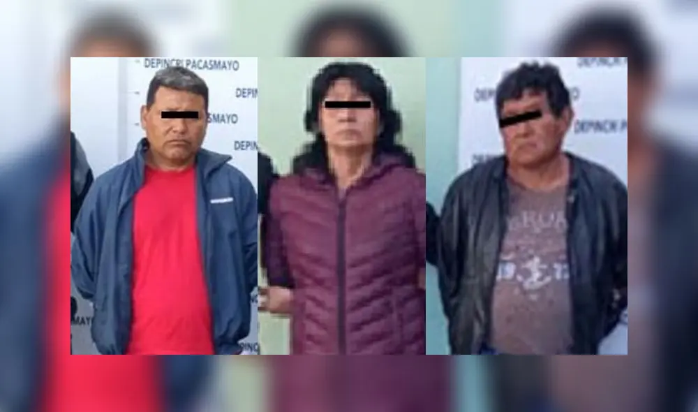 Según la Policía, los detenidos pertenecerían a los clanes familiares autodenominados los Gogos y los Oliva Goicochea. Foto: PNP