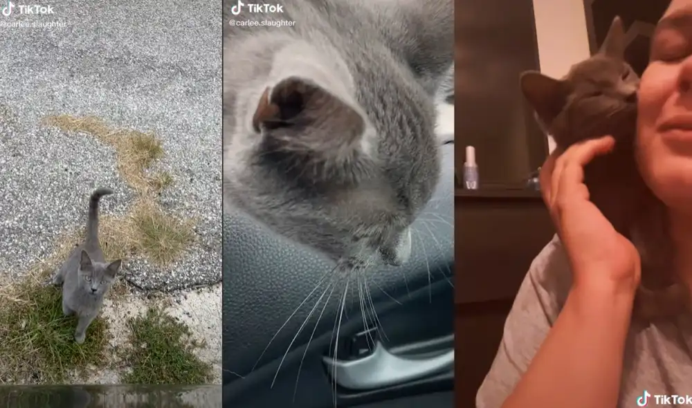 El conmovedor clip que inició el lazo de amistad cuenta con más de cuatro millones de visualizaciones. Foto: captura de TikTok