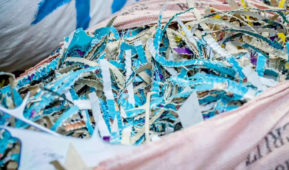 Estudios fueron presentados a través de una conferencia de prensa. Foto: difusión