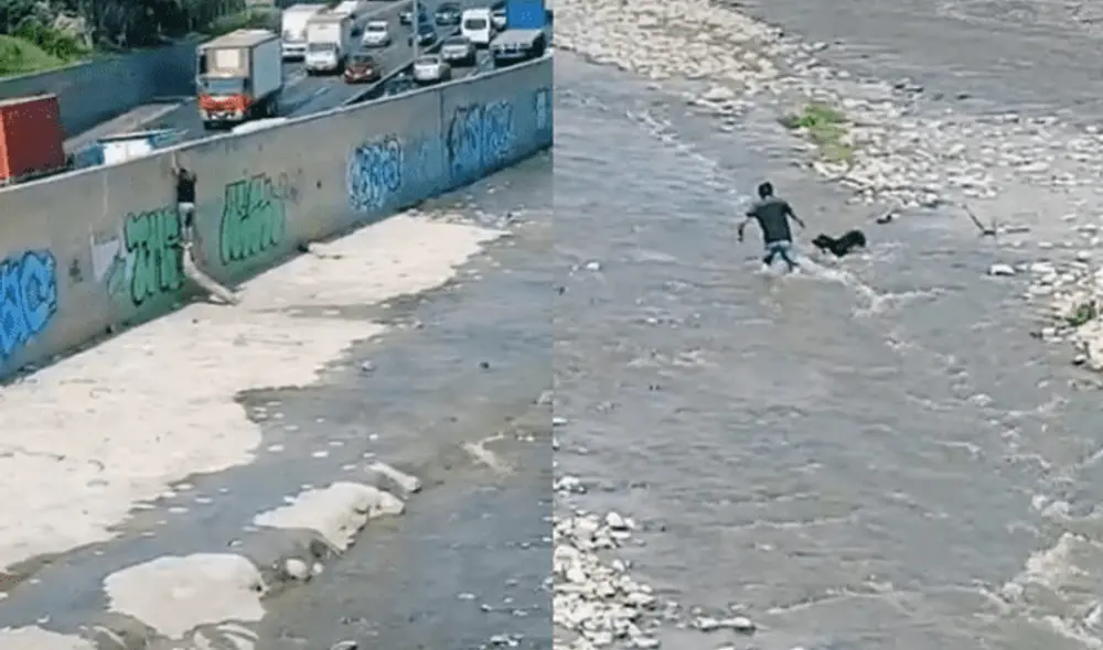 La noble acción del joven despertó la admiración de miles de internautas. Foto: captura de TikTok La noble acción del joven despertó la admiración de miles de internautas. Foto: captura de TikTok