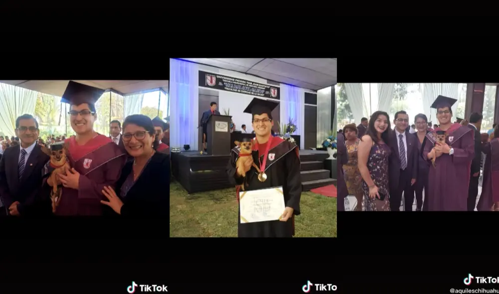 El carismático clip se titula: “Doctor Aquiles, el chihuahua graduado”. Foto: captura de TikTok El carismático clip se titula: “Doctor Aquiles, el chihuahua graduado”. Foto: captura de TikTok