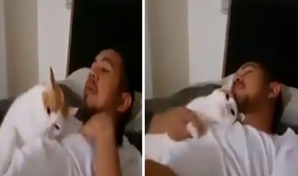 Una gatita aprovechó que su amo estaba dormido para acomodarse a su lado; sin embargo, no imaginó que él iba a corresponder su amoroso gesto. Foto: captura de Facebook