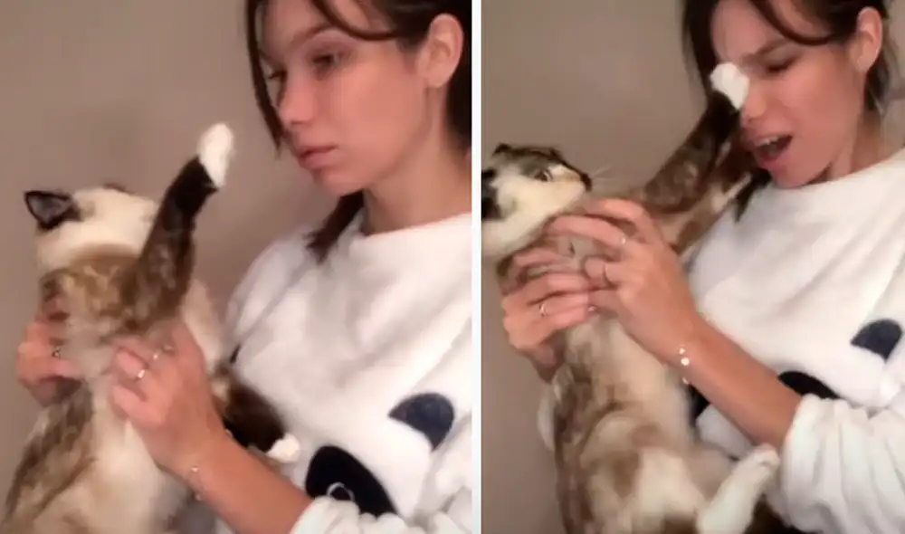 El video ha sido compartido en la página ViralHog. Foto: captura de Facebook