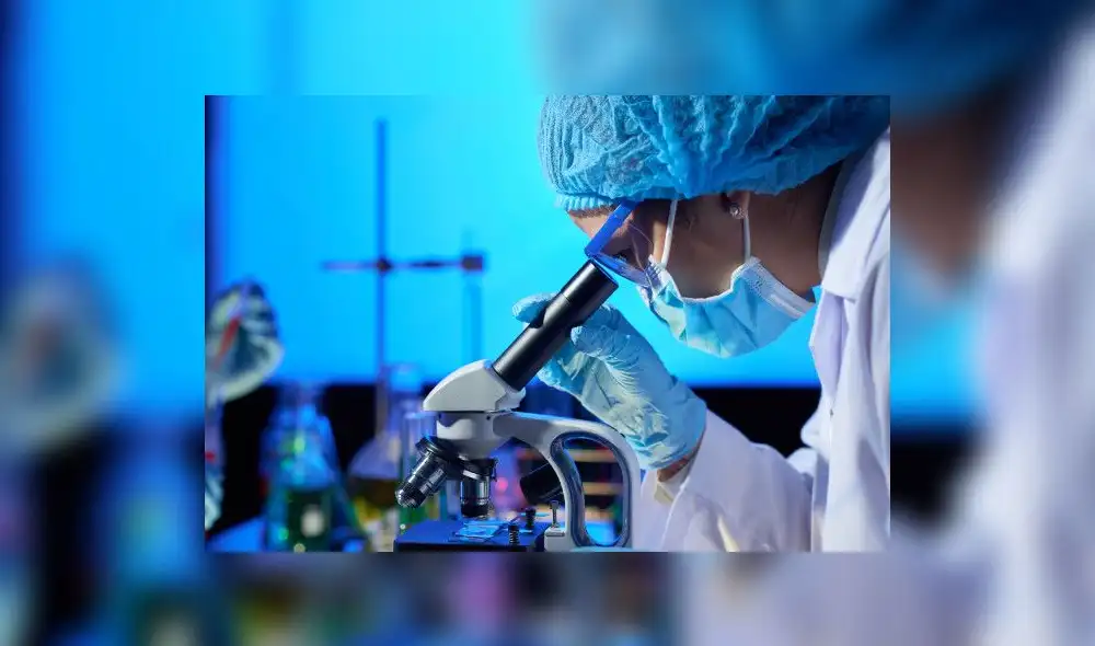 La investigación en ciencia y tecnología ayuda al desarrollo del país. Foto: difusión La investigación en ciencia y tecnología ayuda al desarrollo del país. Foto: difusión