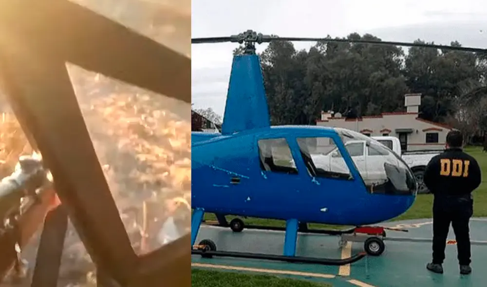 En la grabación se escucha cómo los sujetos se reían mientras disparaban contra los animales. Foto: composicón/captura YouTube/Crónica