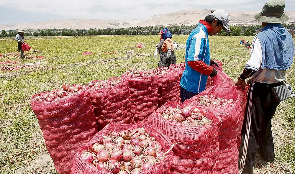 Minka. Maita Frisancho destacó la importancia de trabajar de forma coordinada con todos los gobiernos regionales y locales para la segunda reforma agraria. Foto: difusión Minka. Maita Frisancho destacó la importancia de trabajar de forma coordinada con todos los gobiernos regionales y locales para la segunda reforma agraria. Foto: difusión