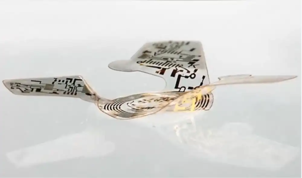 El microchip ha sido desarrollado siguiendo modelos naturales del medio ambiente y se espera su uso sea contundente para rastreo de enfermedades y evaluaciones de la contaminación. Foto: Universidad Northwestern