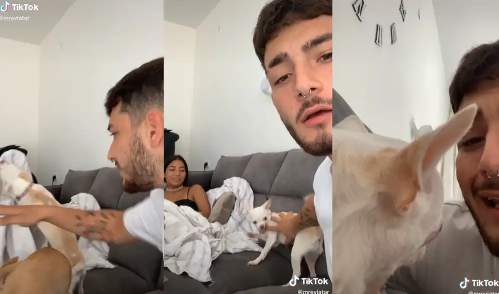 El chihuahua traspasó su 'enojo' hacia su amo, quien se llevó un gran susto debido a la reacción de su mascota. Foto: captura de TikTok