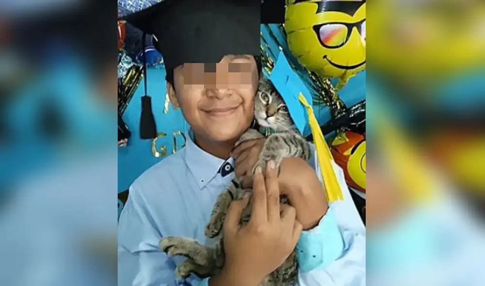 Miles de usuarios quedaron cautivados con las fotografías. Foto: captura de Facebook