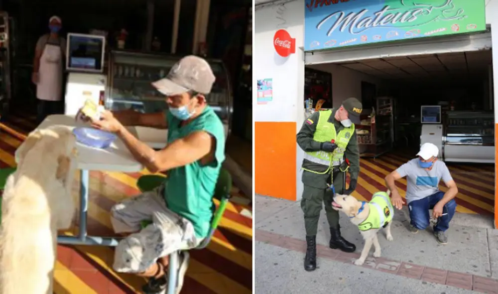 La historia de este can se hizo viral en varias redes sociales. Foto: captura de Facebook