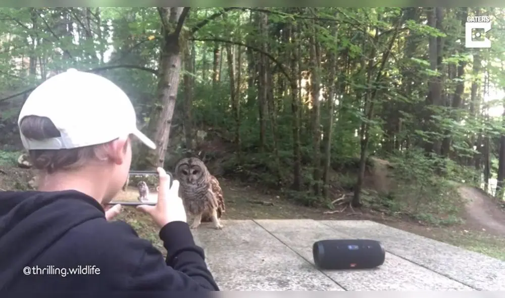 El video compartido en la plataforma acumula más de cinco millones de reproducciones. Foto: captura de Facebook El video compartido en la plataforma acumula más de cinco millones de reproducciones. Foto: captura de Facebook