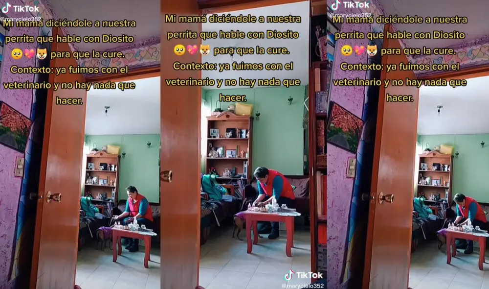 La familia de la perrita Reyna no pierde la fe y se unen en un momento religioso. Foto captura de TikTok La familia de la perrita Reyna no pierde la fe y se unen en un momento religioso. Foto captura de TikTok