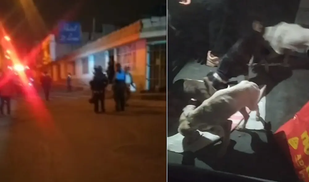 Los vecinos ingresaron a la vivienda para sacar a los canes. Foto: Captura transmisión Razón y Conciencia Los vecinos ingresaron a la vivienda para sacar a los canes. Foto: Captura transmisión Razón y Conciencia