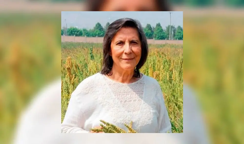 Luz Rayda Gómez-Pando a sus casi 75 años no se detiene y sigue buscando cómo mejorar el contenido nutritivo de la cebada y el trigo, es decir, una biofortificación natural. Foto: Facebook de la científica Luz Rayda Gómez-Pando a sus casi 75 años no se detiene y sigue buscando cómo mejorar el contenido nutritivo de la cebada y el trigo, es decir, una biofortificación natural. Foto: Facebook de la científica