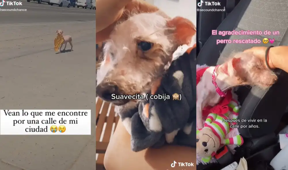 Gladis está cuidada por la joven que la rescató de las calles. Foto: captura de TikTok