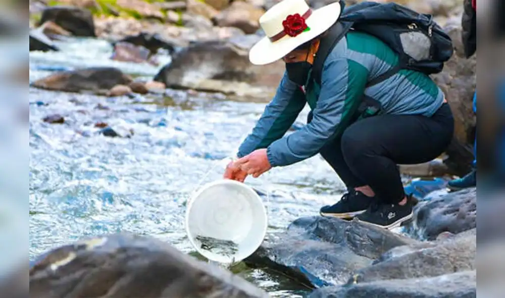 Estrategia se desplegará en otras provincias de Ayacucho. Foto: Dirección Regional de la Producción