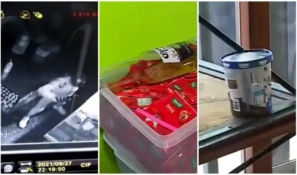 "Son sinvergüenzas, creyeron que estaban en un restaurante campestre", lamentó el dueño del negocio. Foto: captura de Canal N "Son sinvergüenzas, creyeron que estaban en un restaurante campestre", lamentó el dueño del negocio. Foto: captura de Canal N