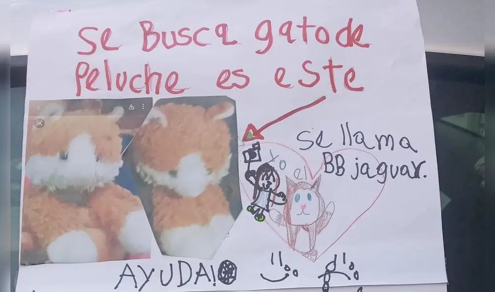 El mensaje de la menor se ha difundido ampliamente en redes sociales. Foto: captura de TikTok El mensaje de la menor se ha difundido ampliamente en redes sociales. Foto: captura de TikTok