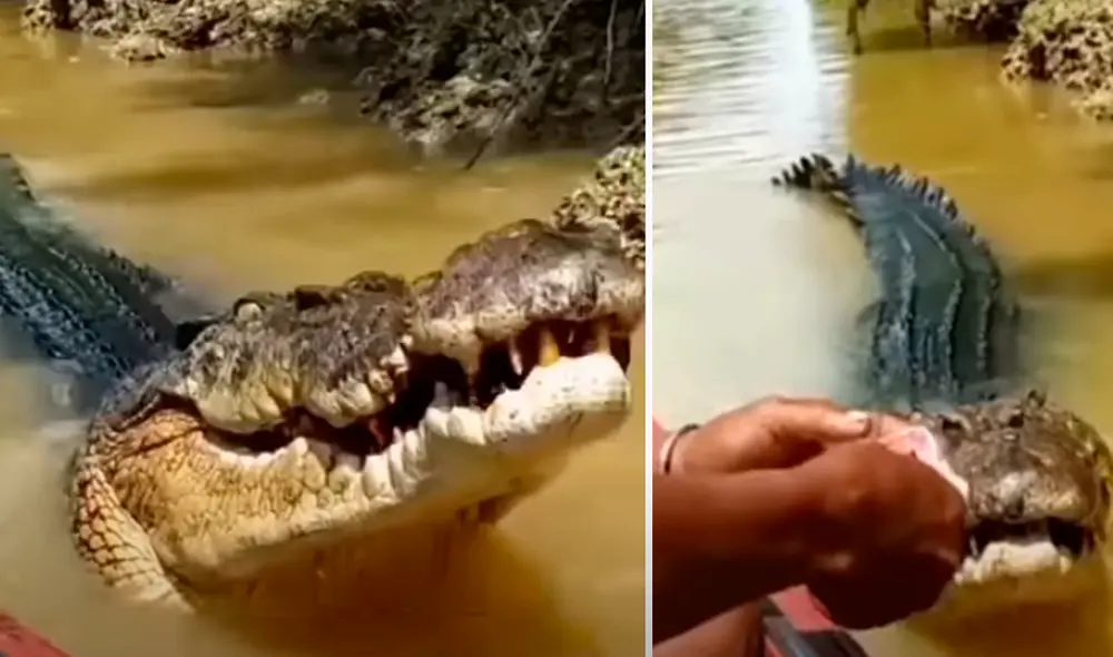 El video viral ha sido compartido en el canal Rahman fishing 07. Foto: captura de YouTube