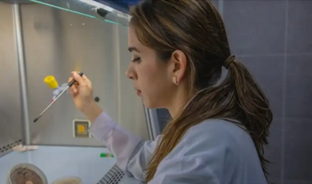 La persona ganadora recibirá varios beneficios, como la oportunidad de participar en equipos multidisciplinarios de investigación en el Instituto de Medicina Social y Preventiva. Foto: Pronabec La persona ganadora recibirá varios beneficios, como la oportunidad de participar en equipos multidisciplinarios de investigación en el Instituto de Medicina Social y Preventiva. Foto: Pronabec