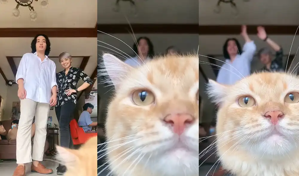 Esto ocurrió dentro de un hogar de la ciudad de Tanauan, Batangas, Filipinas. Foto: captura de YouTube