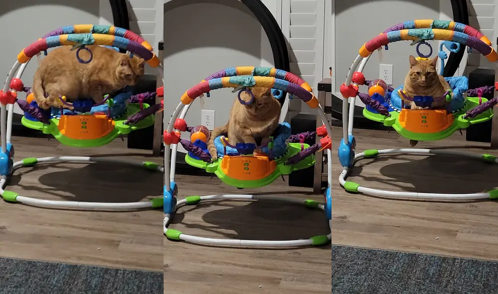 Esto ocurrió en un hogar de Denison, Texas, USA. Foto: captura de YouTube