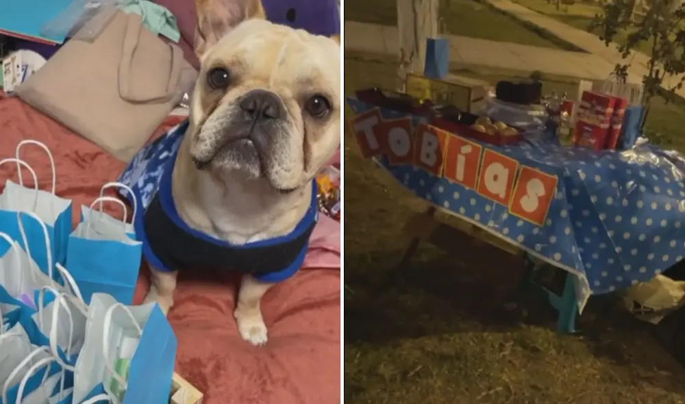 El pequeño Tobías tuvo una tierna celebración al lado de sus 'amigos'. Foto: captura de TikTok