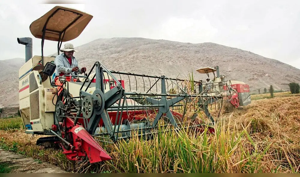 El presidente Pedro Castillo precisó que la nueva reforma agraria no contempla la expropiación de terrenos. Foto: La República El presidente Pedro Castillo precisó que la nueva reforma agraria no contempla la expropiación de terrenos. Foto: La República