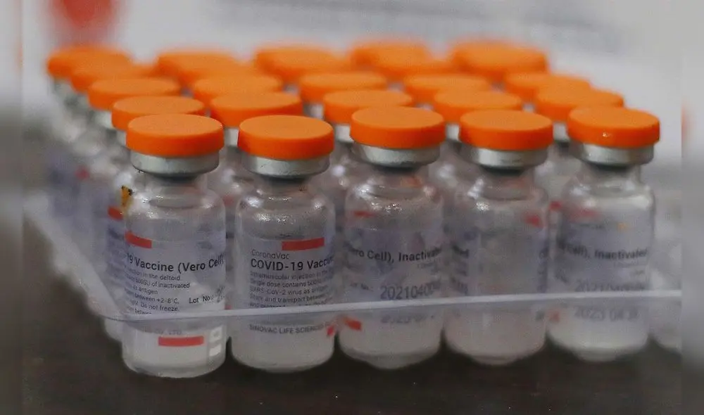 “La noticia es que Argentina termina el año 2021 con toda su población de más de 3 años cubierta, protegida”, dijo Vizzotti. Foto: EFE