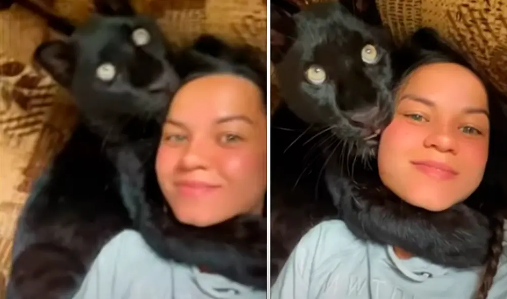 El video viral ha sido compartido en el canal Luna_the_pantera. Foto: captura de YouTube