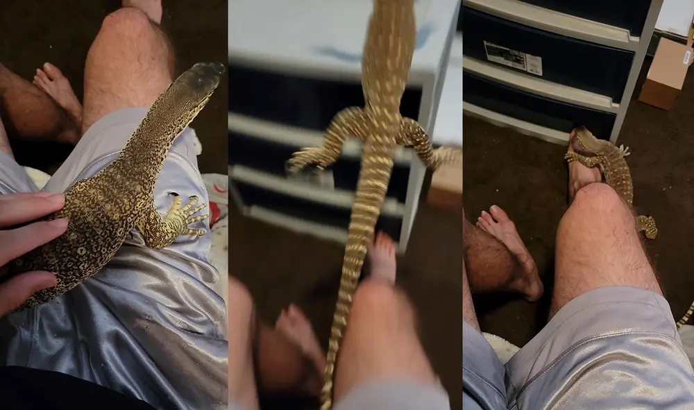 Este suceso se grabó en la ciudad de Virginia, USA. Foto: captura de YouTube