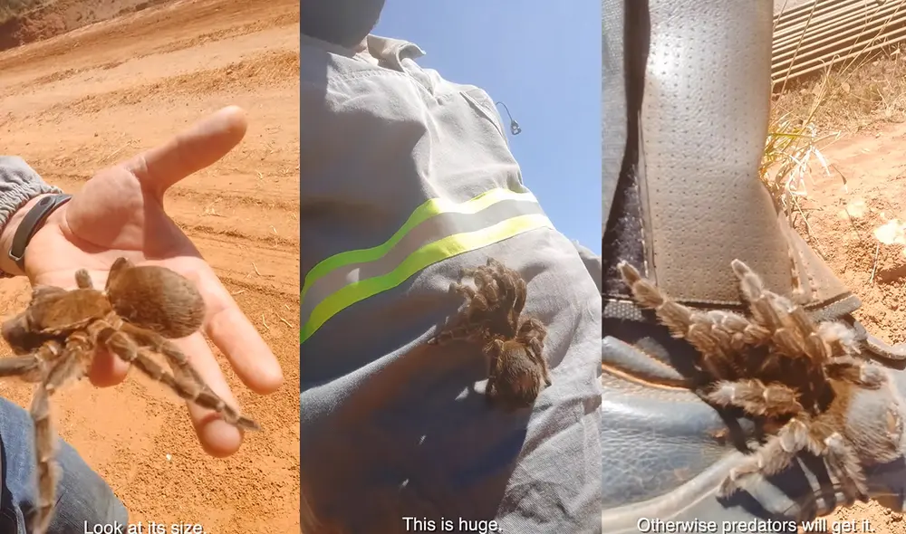 Esto sucedió en Brasil. El video se encuentra subtitulado en inglés. Foto: captura de YouTube