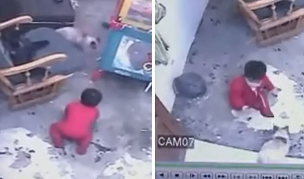 Miles de usuarios han quedado impactados al ver la acción de la felina. Foto: captura de YouTube