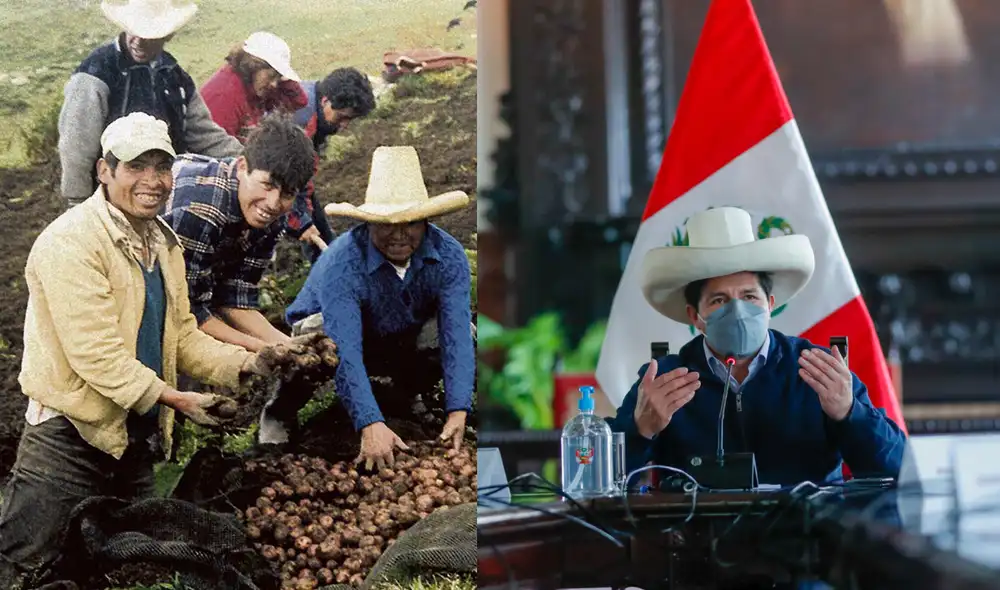 Entérate de todo lo último sobre la segunda reforma agraria minuto a minuto. Foto: composición/difusión