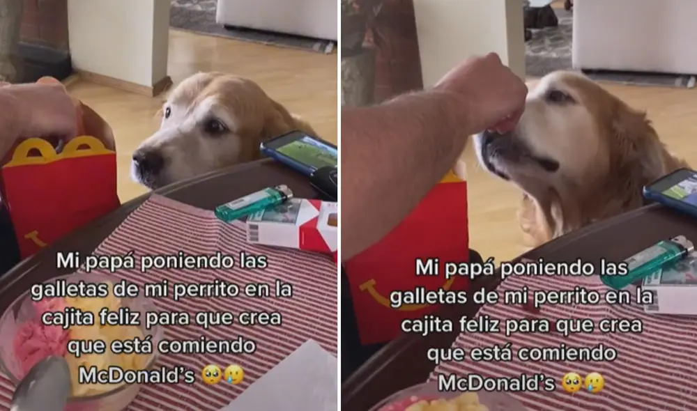 El perrito comió sus galletas sin problemas al creer que disfrutaba de unas papas fritas. Foto: captura de TikTok El perrito comió sus galletas sin problemas al creer que disfrutaba de unas papas fritas. Foto: captura de TikTok