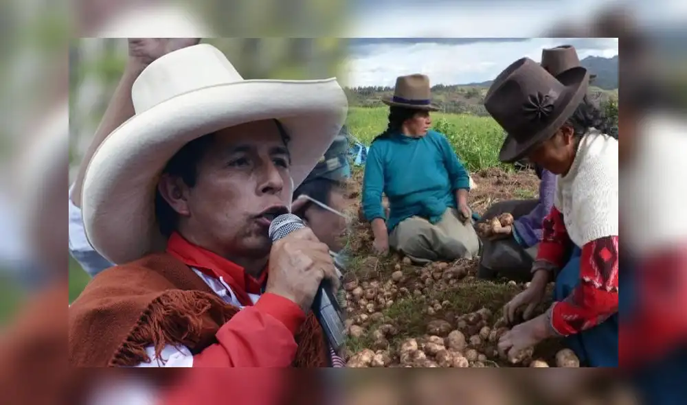 Más de 700.000 productoras se beneficiarán con programa anunciado en lanzamiento de la Segunda Reforma Agraria.