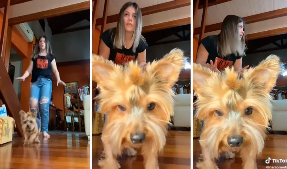 TikTok viral: perrito se une a su dueña para pasar el reto Muévete luz verde de El juego del calamar TikTok viral: perrito se une a su dueña para pasar el reto Muévete luz verde de El juego del calamar