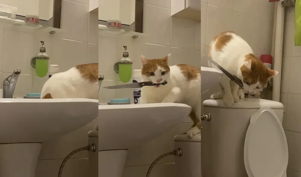 Esto sucedió en una casa de Moscú, Rusia. Foto: captura de YouTube