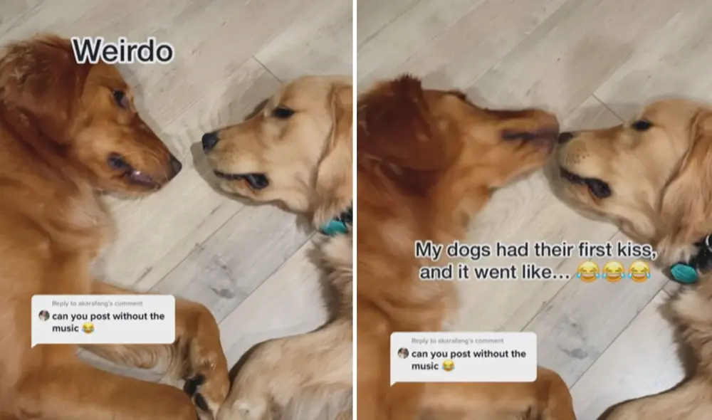 Miles de usuarios no han parado de reír con estas imágenes. Foto: captura de Facebook Miles de usuarios no han parado de reír con estas imágenes. Foto: captura de Facebook