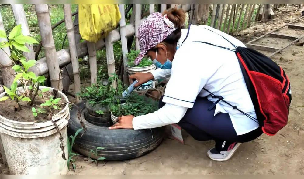 Personal de salud de Lambayeque coloca larvicidas en recipientes donde se almacena agua. Foto: Geresa Personal de salud de Lambayeque coloca larvicidas en recipientes donde se almacena agua. Foto: Geresa