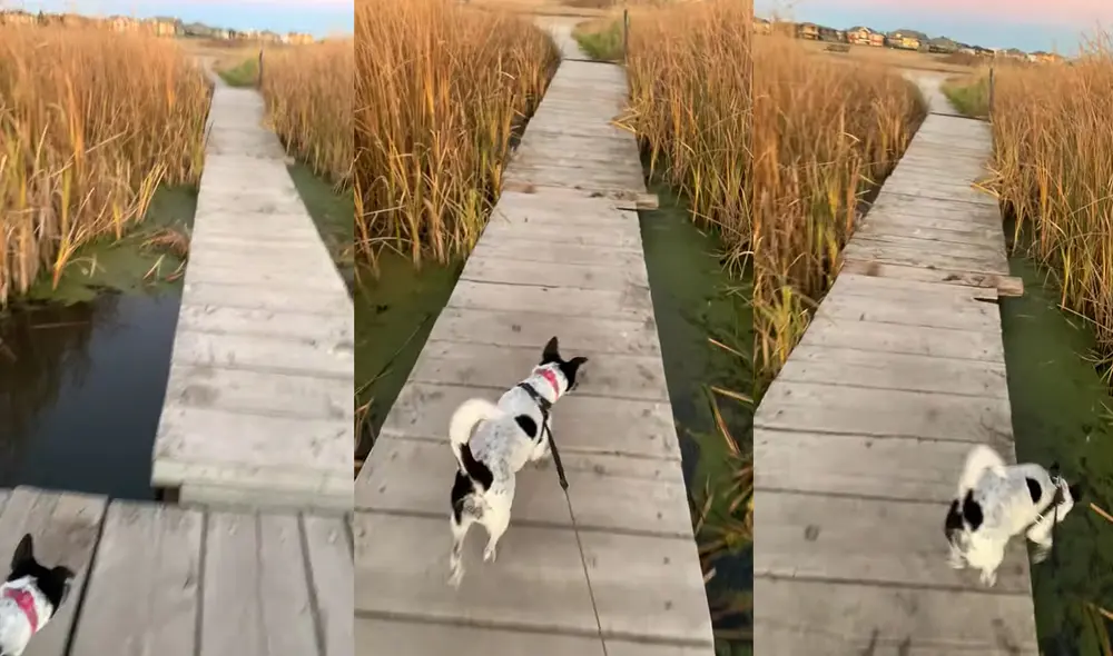 Este depósito natural está ubicado en la ciudad de Regina, Canadá. Foto: captura de YouTube
