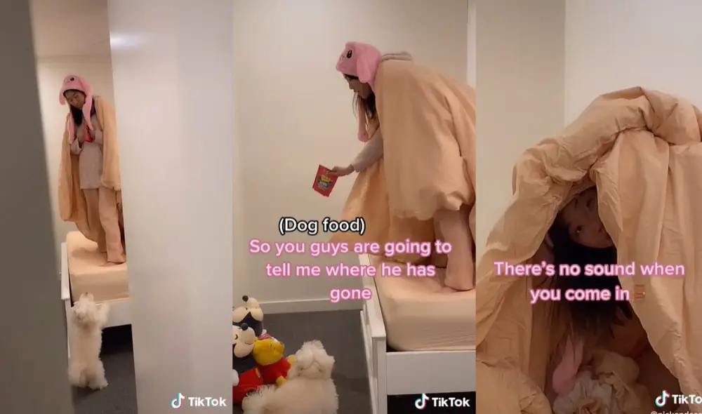 La joven protagonizó una cámara escondida que ha cautivado a los cibernautas. Foto: captura de TikTok