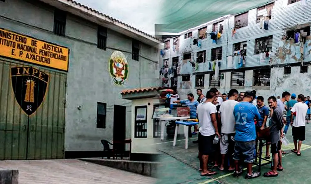 Los trámites del certificado de conducta y de la constancia de liberado son bastante sencillos y económicos. Foto: composición de Jazmín Ceras/La República