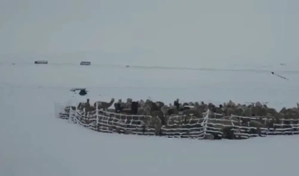 Para este jueves, Senamhi pronosticó otros eventos climatológicos como lluvias y nevadas. Foto: difusión Para este jueves, Senamhi pronosticó otros eventos climatológicos como lluvias y nevadas. Foto: difusión