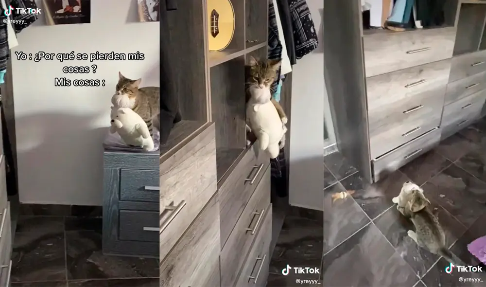 El minino cautivó a su dueña con su hilarante comportamiento en el interior de su hogar. Foto: captura de TikTok