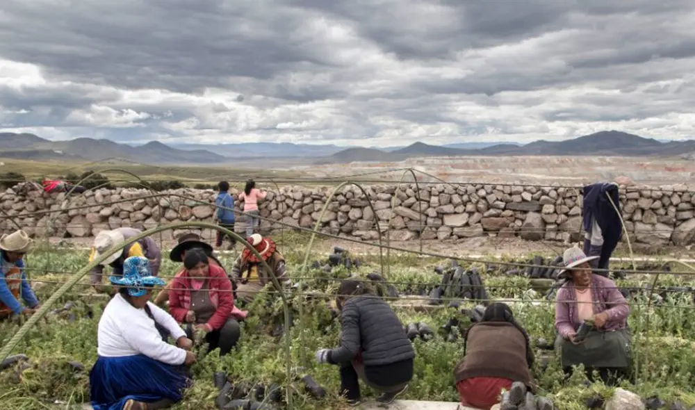 Para Gárate, es urgente invertir en sectores que impulsen la transformación ecológica. Foto: CooperAcción Para Gárate, es urgente invertir en sectores que impulsen la transformación ecológica. Foto: CooperAcción