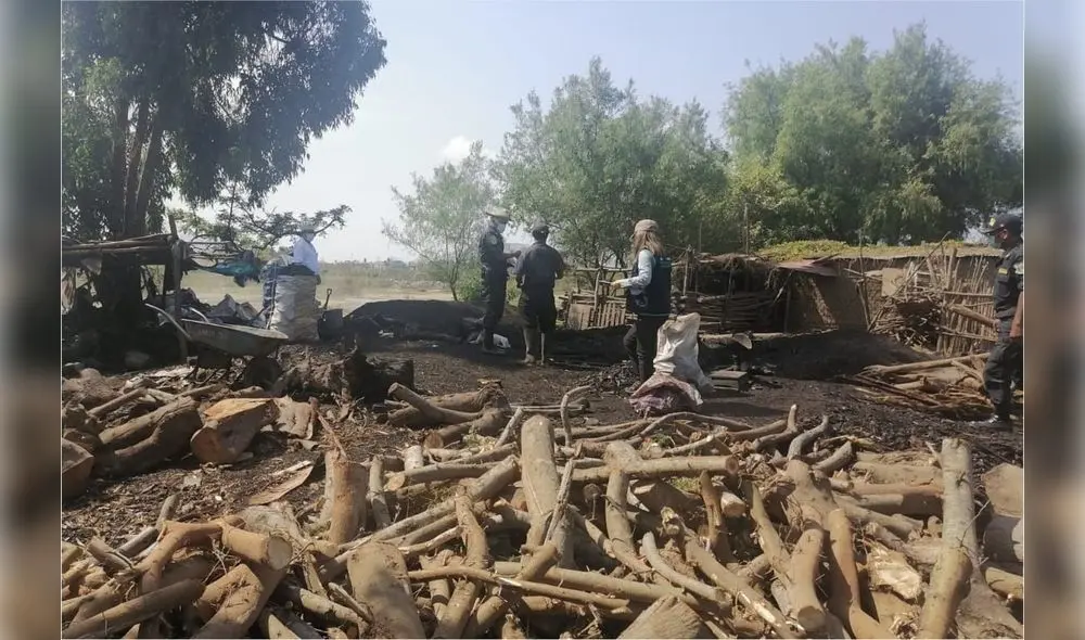 Fue sorprendido quemando maderos para elaborar carbón. Foto: Ministerio Público de La Libertad