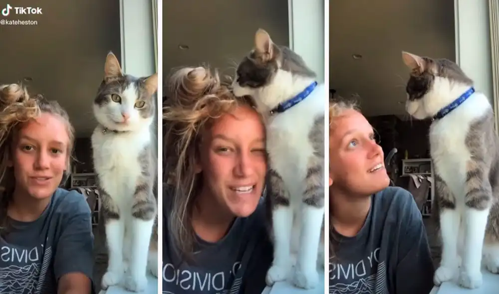 Una joven aprovechó que su mascota estaba en la ventana para grabarlo con su cámara; sin embargo, este le mostró su rechazo al tratar de morder su cabeza. Foto: captura de TikTok Una joven aprovechó que su mascota estaba en la ventana para grabarlo con su cámara; sin embargo, este le mostró su rechazo al tratar de morder su cabeza. Foto: captura de TikTok